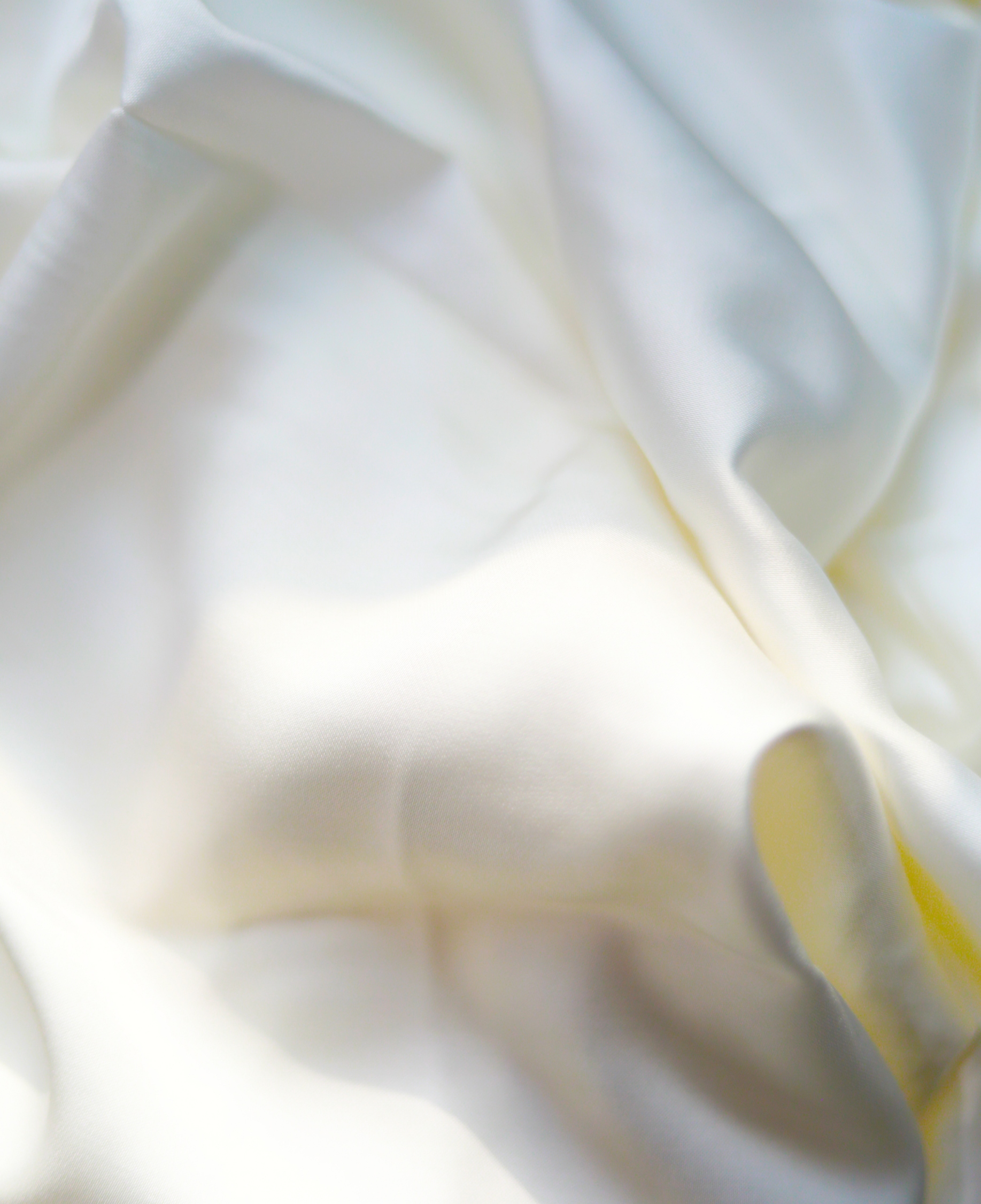 首页| J9九游国际集团中国官方网站