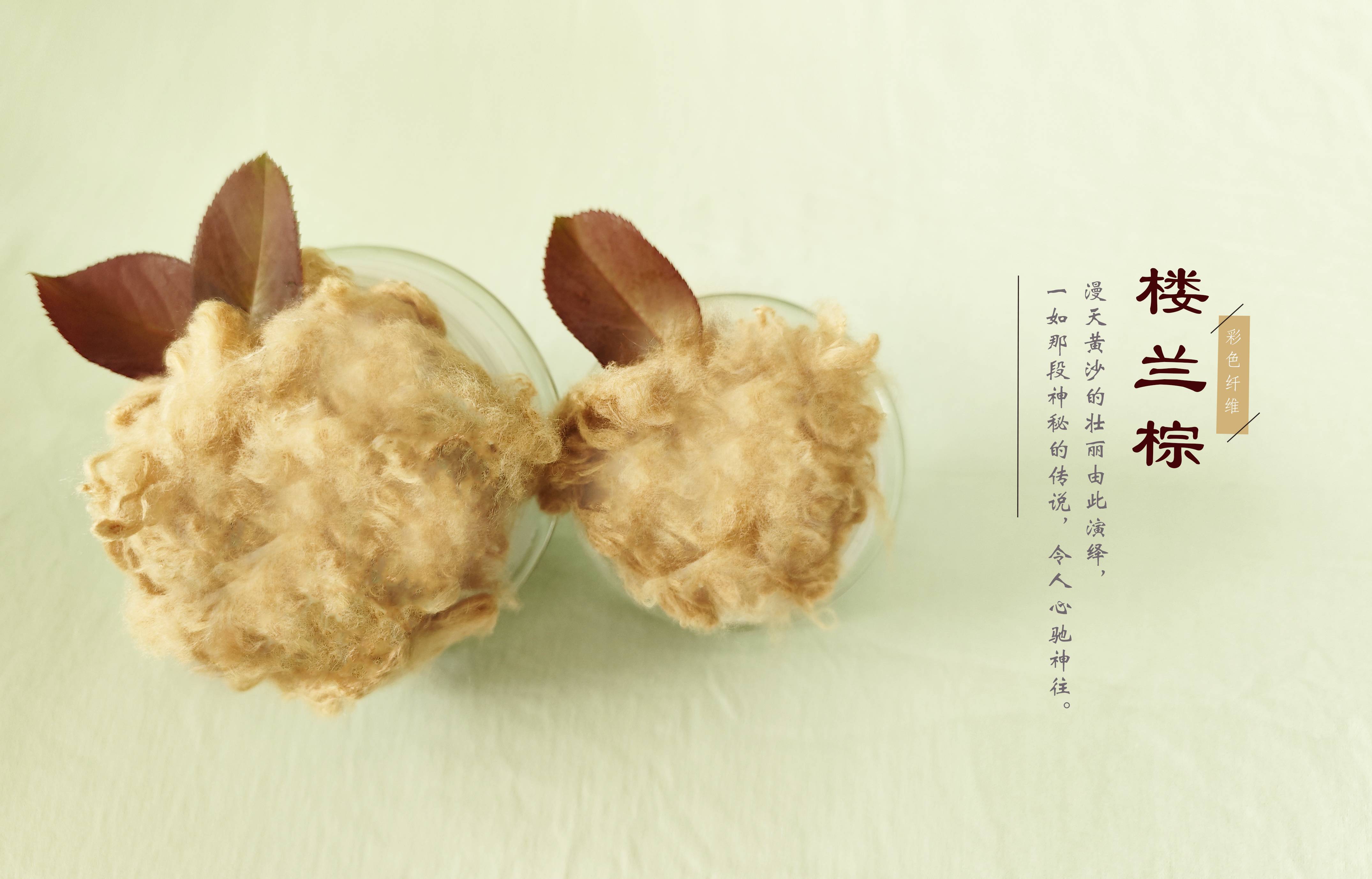 首页| J9九游国际集团中国官方网站