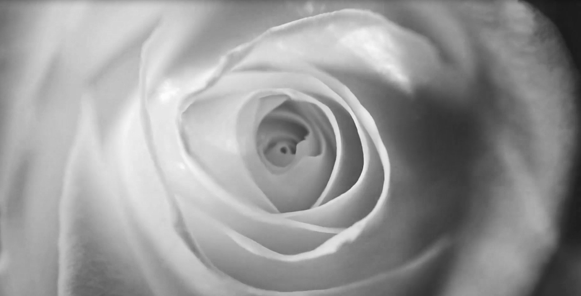 首页| J9九游国际集团中国官方网站