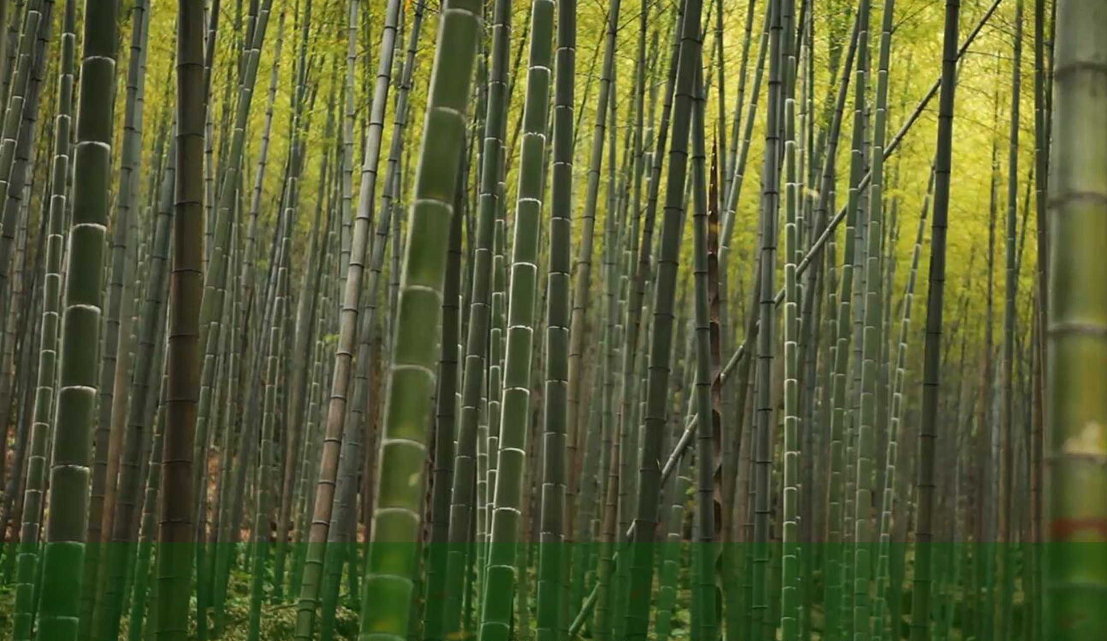 首页| J9九游国际集团中国官方网站