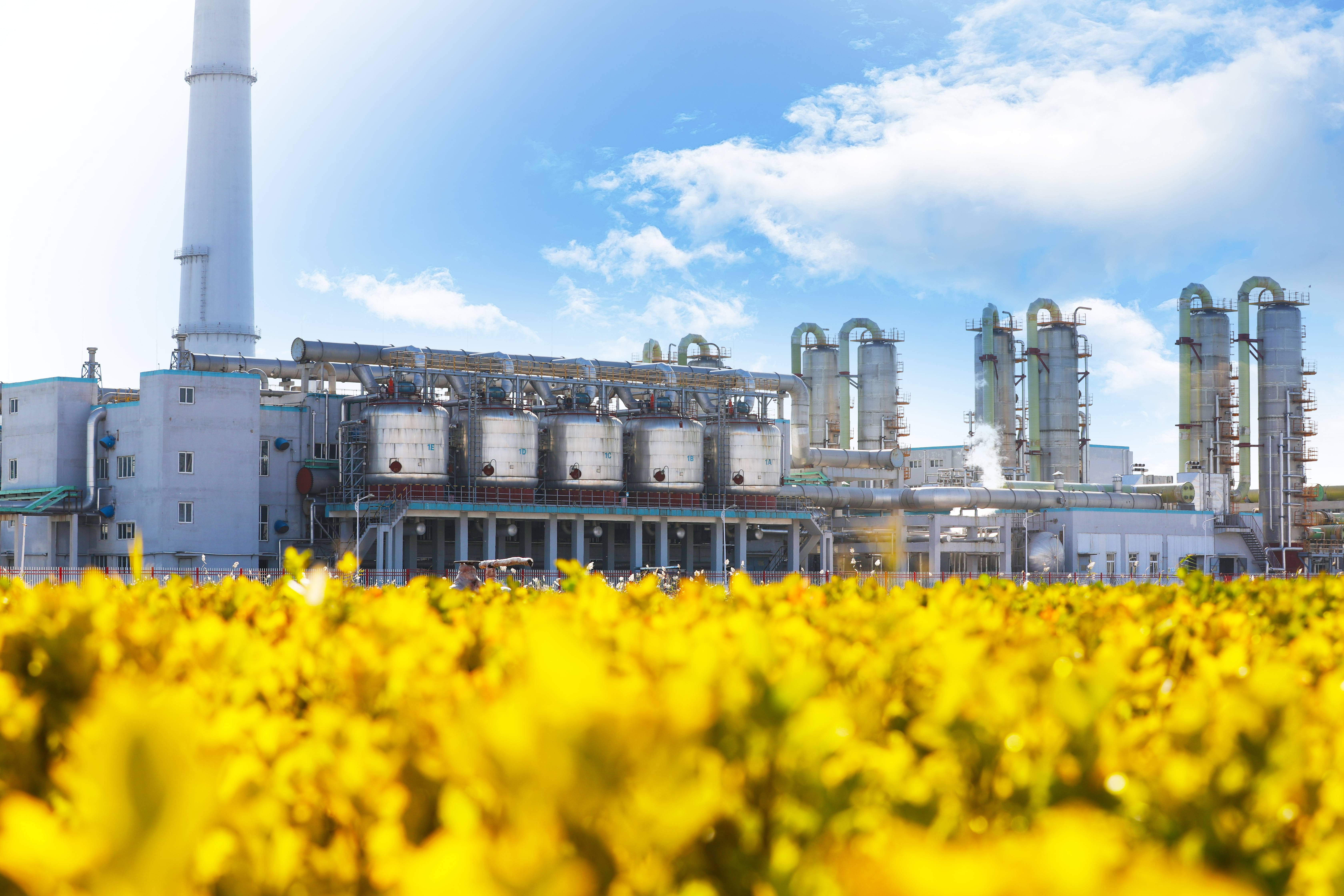 首页| J9九游国际集团中国官方网站