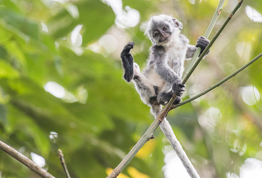 首页| J9九游国际集团中国官方网站